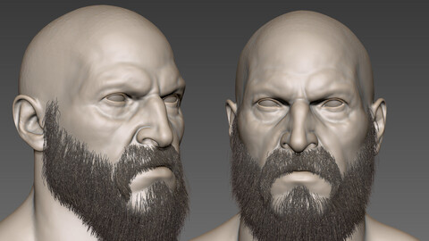 Kratos-Head Basemesh