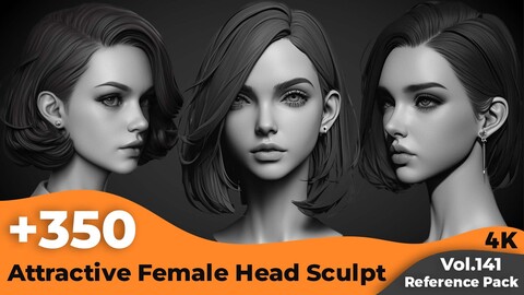 +350 Attractive Female Head Sculpt References(4k)