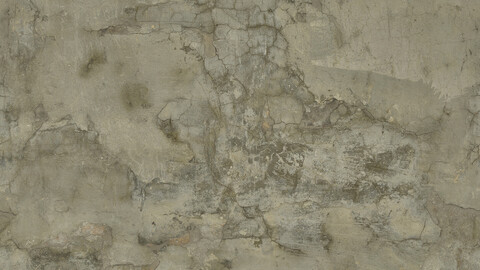 Plaster Seamless Texture 2k (2048*2048) | EXR 5 | JPG 5 File Formats All Texture Apply After Object Look Like A 3D. (1K preview image)