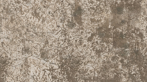 Plaster Seamless Texture 2k (2048*2048) | EXR 5 | JPG 5 File Formats All Texture Apply After Object Look Like A 3D. (1K preview image)