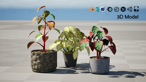 Game Ready Philodendron Potted Plants collection