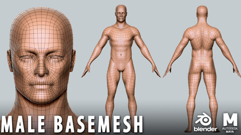 Male BaseMesh - Topology + UV Map