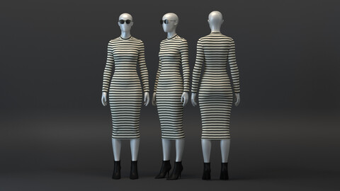 Striped Turtleneck Dress