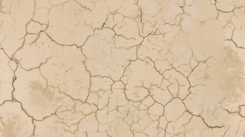 Plaster Seamless Texture 2k (2048*2048) | EXR 5 | JPG 5 File Formats All Texture Apply After Object Look Like A 3D. (1K preview image)