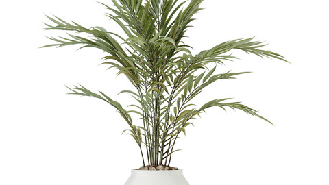 HQ HousePlants Pelagio Artificial Mountain Kentia Palm02