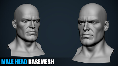 Male Head Basemesh - Jack