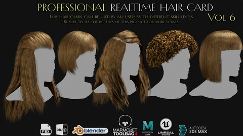 Professional Realtime Haircard Vol.6