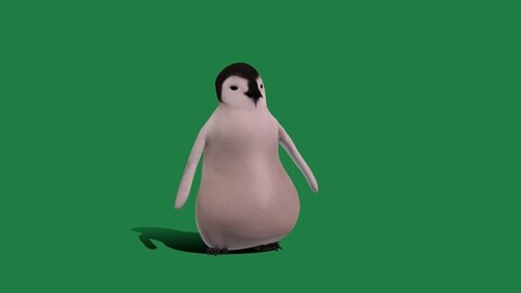 Emperor Penguin Chick