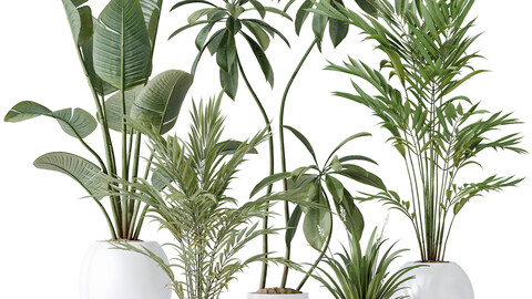 indoor plants set 96