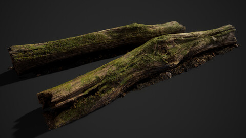 Mossy Log 01