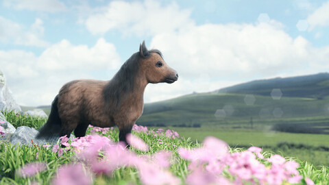 Pocket the Miniature Horse