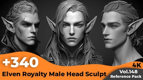 +340 Elven Royalty Male Head Sculpt Reference(4k)