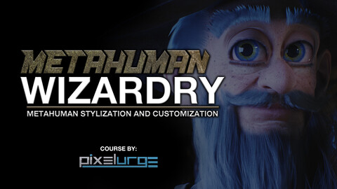 Metahuman Wizardy: Metahuman Stylization and Customization