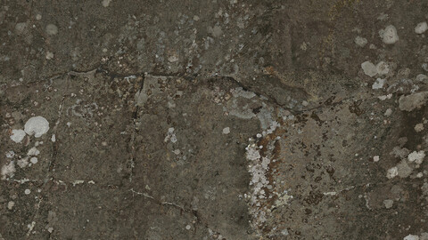 Rock Seamless Texture 2k (2048*2048) | EXR 5 | JPG 5 File Formats All Texture Apply After Object Look Like A 3D. (1K preview image)