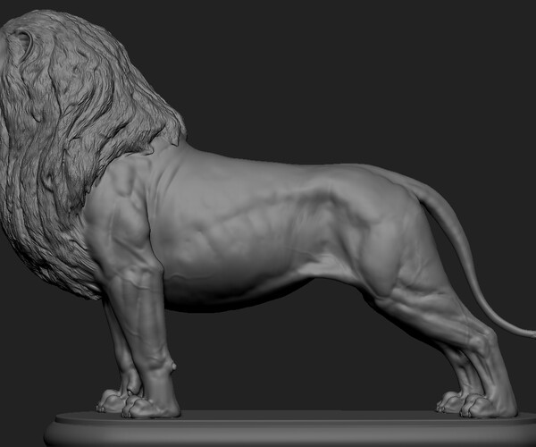 ArtStation - Lion | Resources