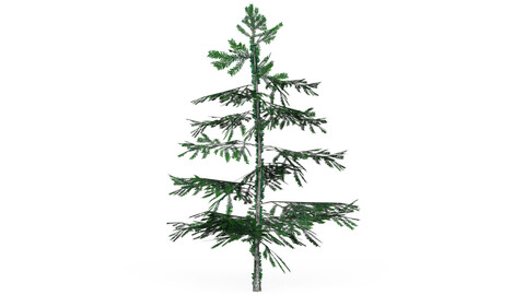 Low Poly Pine Tree 01