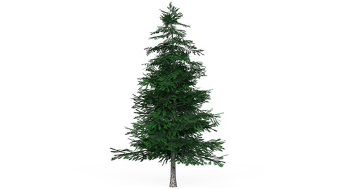 Low Poly Pine Tree 02