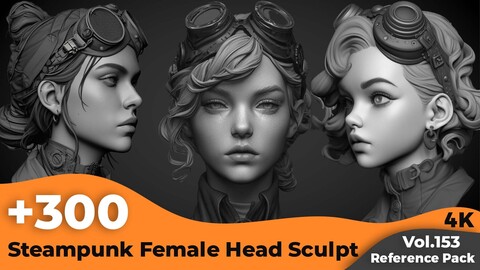 +300 Steampunk Female Head Sculpt Reference(4k)