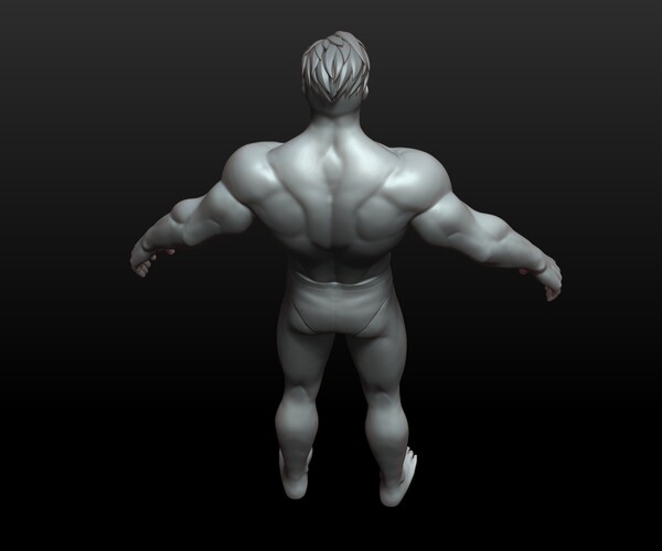 ArtStation - Stylized Hero BaseMesh Man Zbursh Highpoly Anatomy pack ...