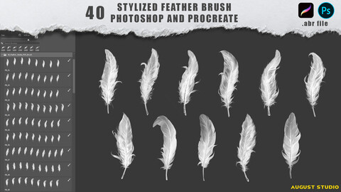 Stylized Feather Brushset For Photoshop and Procreate