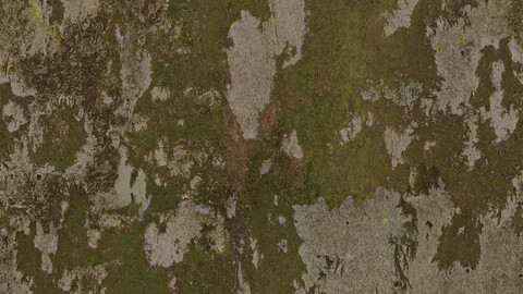 Rock Seamless Texture 2k (2048*2048) | EXR 5 | JPG 5 File Formats All Texture Apply After Object Look Like A 3D. (1K preview image)