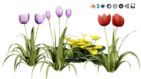 Spring Delight: Primroses & Tulips 3D Flowers