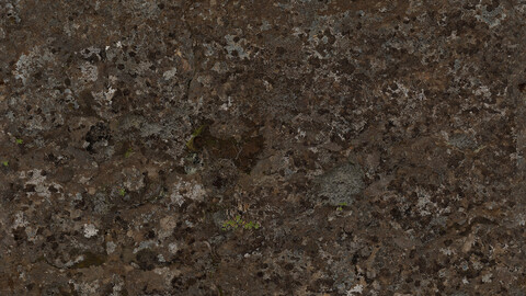 Rock Seamless Texture 2k (2048*2048) | EXR 5 | JPG 5 File Formats All Texture Apply After Object Look Like A 3D. (1K preview image)