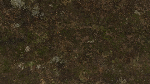 Rock Seamless Texture 2k (2048*2048) | EXR 5 | JPG 5 File Formats All Texture Apply After Object Look Like A 3D. (1K preview image)