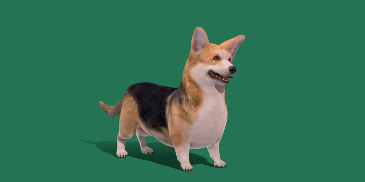 ArtStation - Pembroke Welsh Corgi Dog | Game Assets