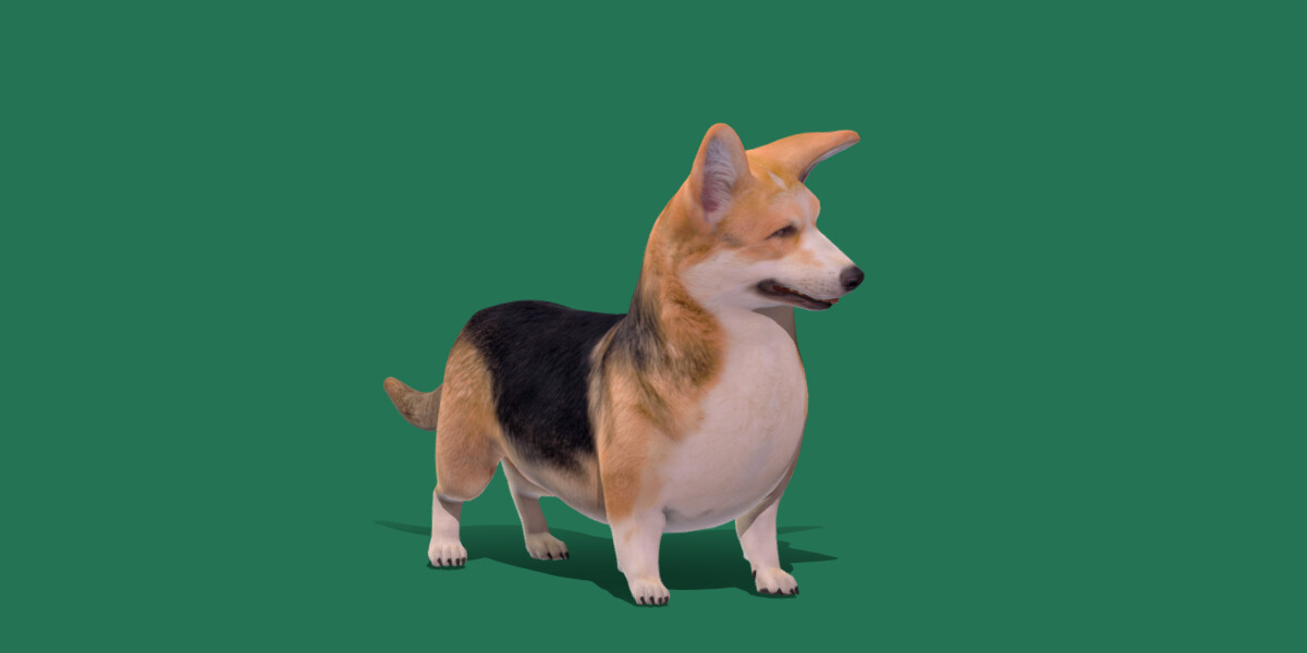 ArtStation - Pembroke Welsh Corgi Dog | Game Assets