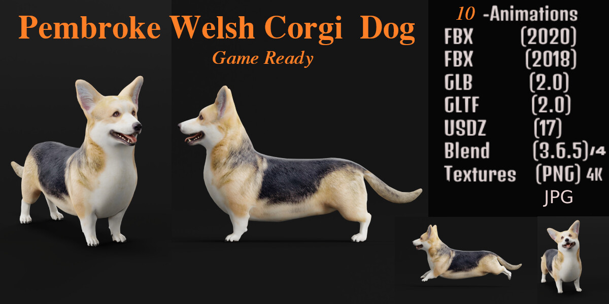 ArtStation - Pembroke Welsh Corgi Dog | Game Assets