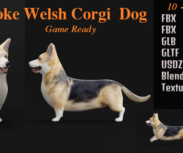 ArtStation - Pembroke Welsh Corgi Dog | Game Assets