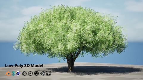 Realistic Hazelnut Tree with Detailed Leaves with free Tutorial