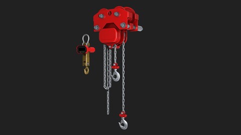 Chain hoist and Crane scales r2