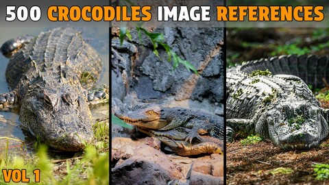 500 Crocodiles Photo Reference - Vol 1