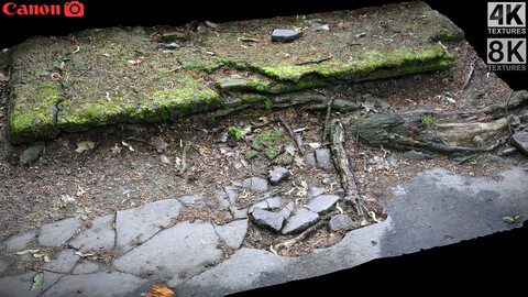 ancient ruins archelement moss part photogrammetry