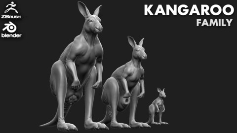 Kangaroo Family Pack  - Topology + UV Map