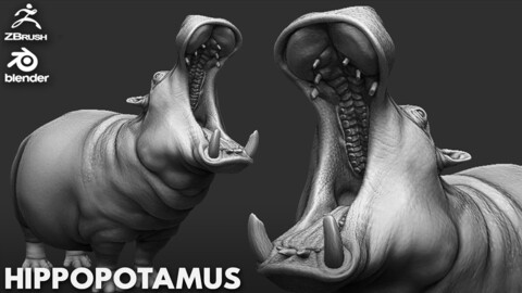 Hippopotamus - Topology + UV map