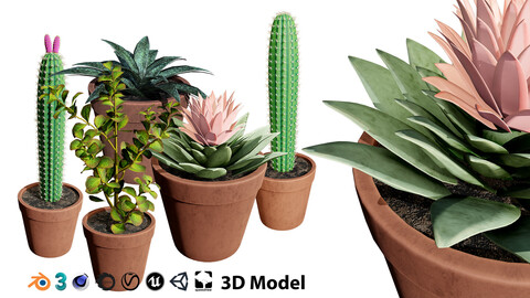 Potted Cactus 3D Model