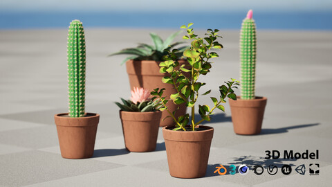 Potted Cactus 3D Model