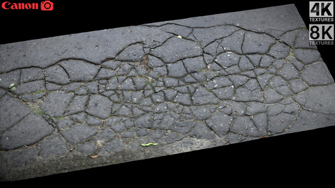 asphalt cracked patch part3 Photogrammetry