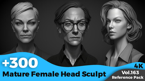 +300 Mature Female Head Sculpt(4k)