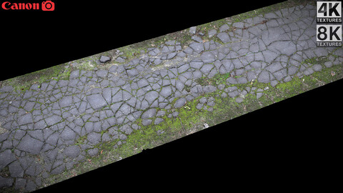 ashpalt cracked old mossy road part4 Photogrammetry