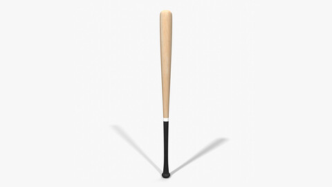 Baseball Bat