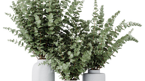 HQ HousePlants Branche Decorative Foliage Dollar Authentic Eucalyptus Bouquet Set02