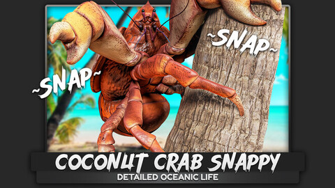 Coconut Crab - Snappy Palm Thief - Underwater Monster - Crustacean Creature - Low Poly Realistic 3D Model - #47