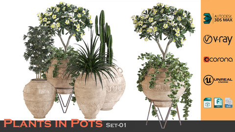 Plants In Pots - Set 01