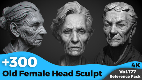 +300 Old Female Head Sculpt Reference(4k)