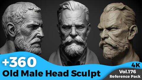 +360 Old Male Head Sculpt Reference(4k)