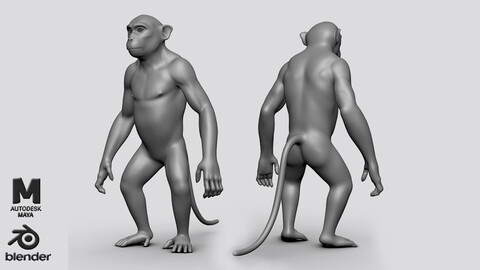 Monkey BaseMesh - Topology + UV map